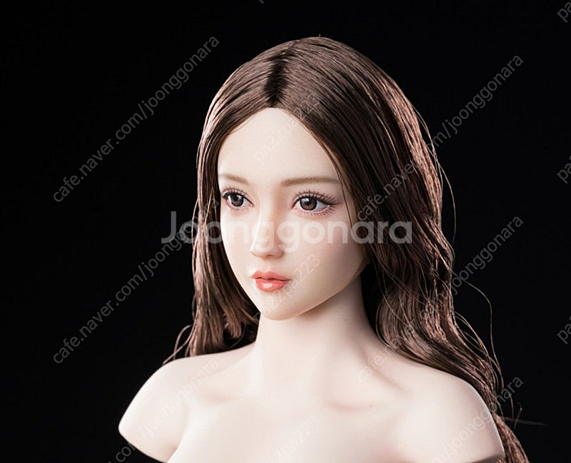 Fire Girl Toys FG097 여성 식모 1/6 피규어 헤드 미인 헤드 피첸바디 호완 헤드 팝니다--0