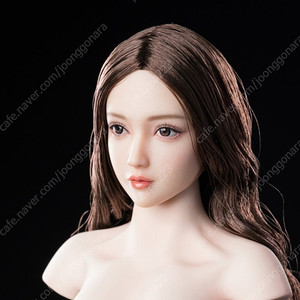 Fire Girl Toys FG097 여성 식모 1/6 피규어 헤드 미인 헤드 피첸바디 호완 헤드 팝니다