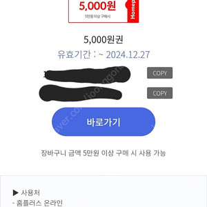 홈플러스 온라인 5000원 할인권 2매