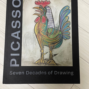 피카소책, Picasso: Seven Decades of Drawing (Hardcover)