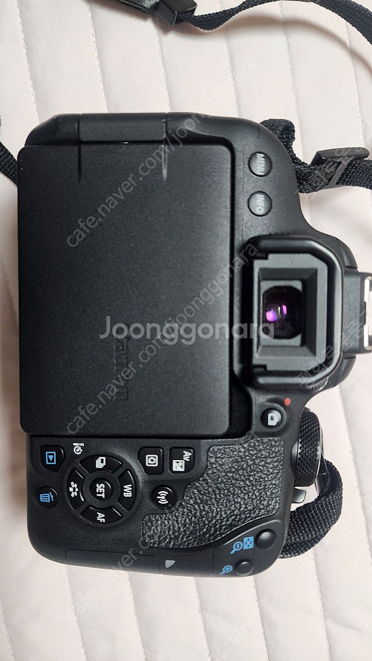 캐논 800D + 시그마 아트 삼식이--7
