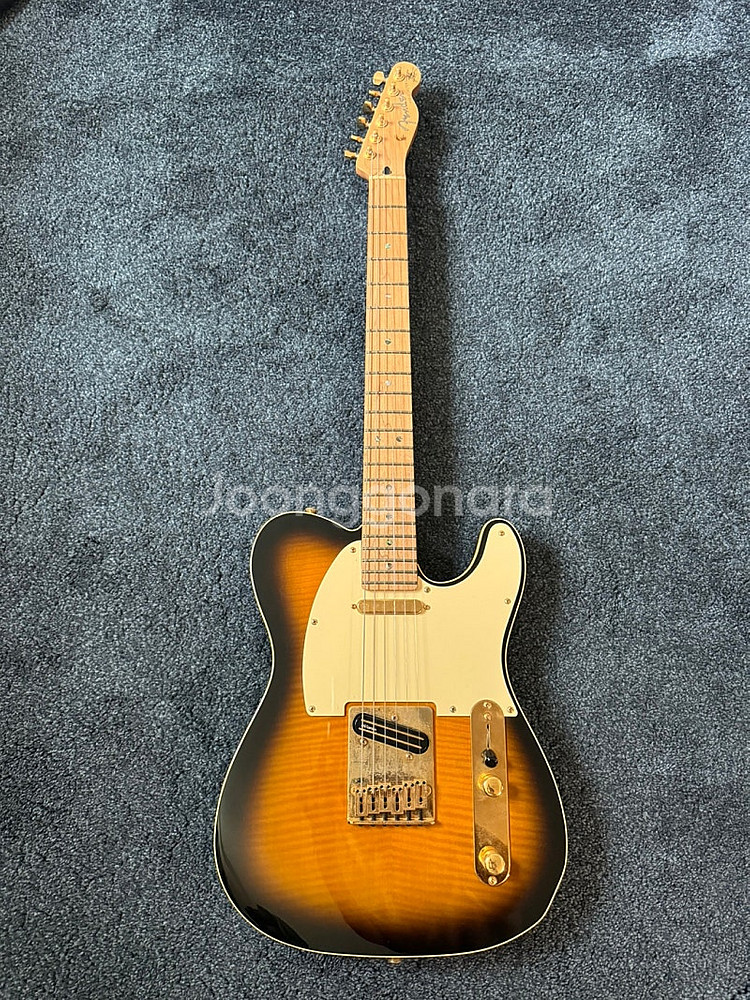 리치 코젠 텔레 캐스터 Fender Richie Kot...--0
