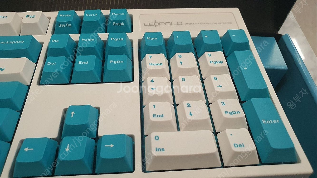 레오폴드 구하기 힘든 개이쁜 민트 풀배열(FC900RB...--3