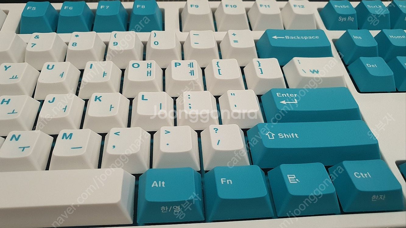 레오폴드 구하기 힘든 개이쁜 민트 풀배열(FC900RB...--4
