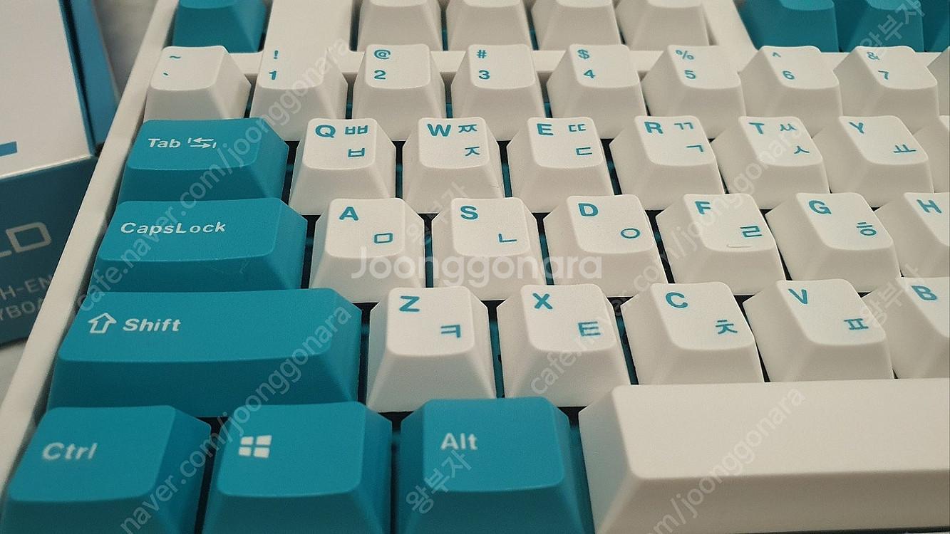 레오폴드 구하기 힘든 개이쁜 민트 풀배열(FC900RB...--5