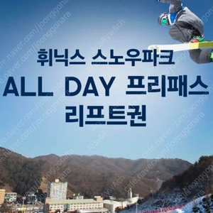 1월 12~14 / 평창 휘닉스파크 올데이 리프트권 삽니다.