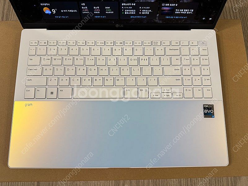 LG전자 그램16 16Z90RS-GA70K--7