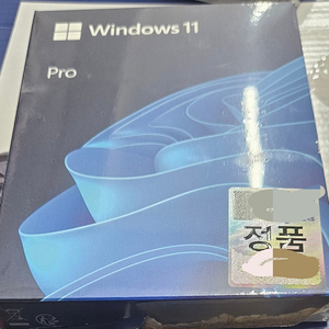 마이크로소프트 Window11 PRO 처음사용자용 FPP USB