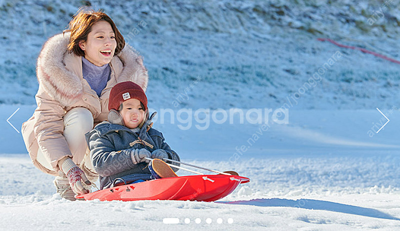 평창 휘닉스파크 스노우빌리지, 블루캐니어 표 구해요(1...--0