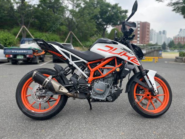대구 19년식 ktm 듀크390 팝니다. 이미지