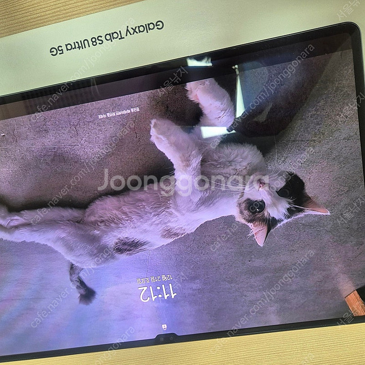 갤럭시탭S8 울트라 256 5g 모델 판매합니다. 경북...--5