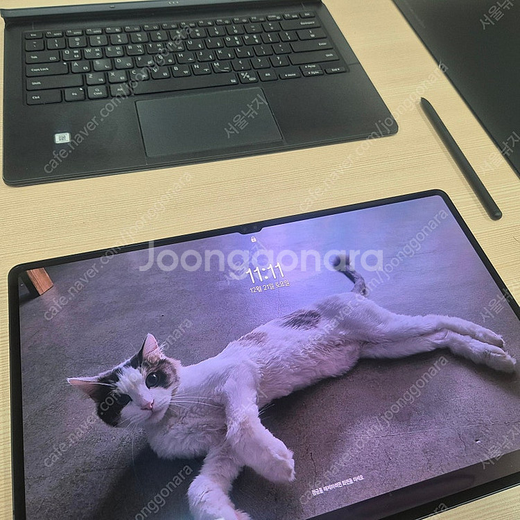 갤럭시탭S8 울트라 256 5g 모델 판매합니다. 경북...--0