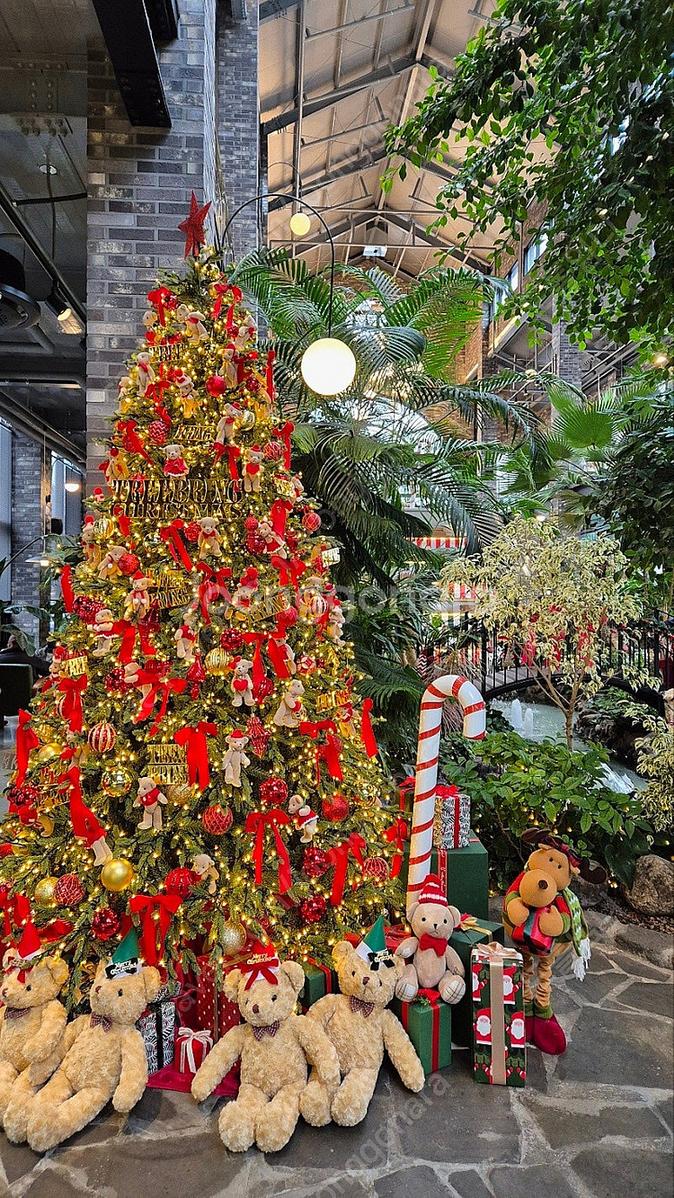 여기어때 숙박 대실 예약해드려요(5만이상 5천원만 할인)--0