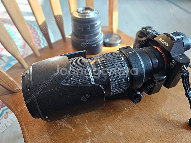 소니 a7, 탐론 70-200, 시그마 50.4--2