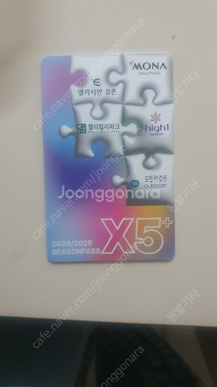 x5 시즌권 양도 합니다 등록만 하고 1회도안탐--0