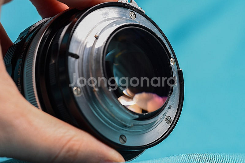 니콘 nikon mf 55mm f1.2 해바라기 2세대...--3