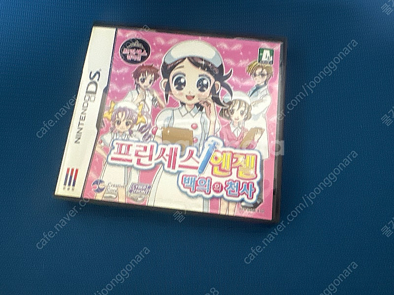 닌텐도 ds 프린세스 엔젤 백의의 천사--0