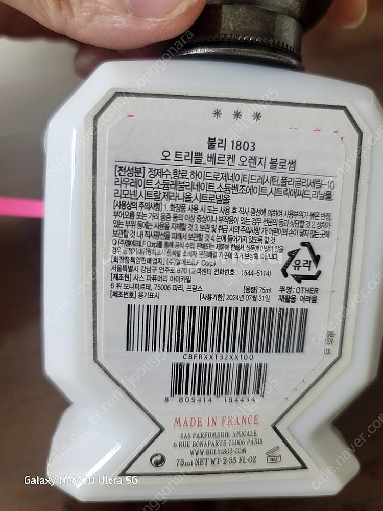 불리 베르켄 오렌지블러썸--2