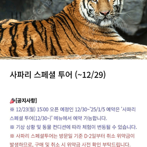 에버랜드 스페셜투어(12/28,토)