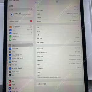 북미판 아이패드 프로 12.9 셀룰러 256