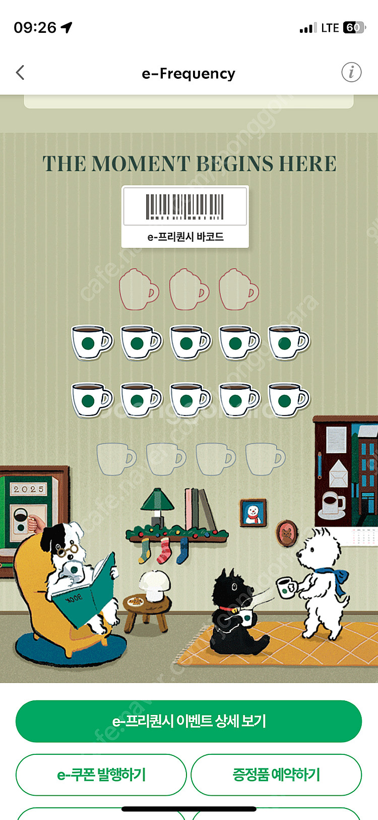 프리퀀시 일반 10개 4,000원--0