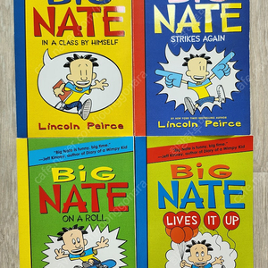 빅네이트 챕터북 4권 big nate