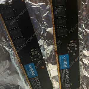 Crucial 램 DDR5-5600 16GB 2개