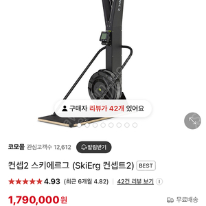 컨셉2 스키 에르그 팝니다