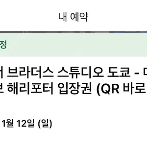 일본 워너 브라더스 스튜디오 도쿄 메이킹 오브 해리포터 입장권 티켓 성인 2매 팝니다. (1월 12일 오후 3시)