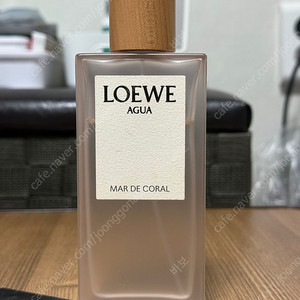 로에베 아구아 마르 드 코랄 100ml (Loewe agua mar de coral)