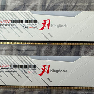 킹뱅크 DDR5 6400 64GB