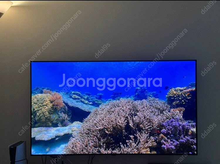 65인치 LG OLED TV 판매합니다.--0