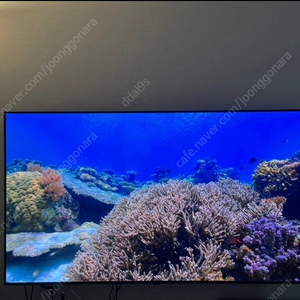 65인치 LG OLED TV 판매합니다.