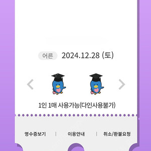 12월 28일(토) 롯데월드 매직패스 5회권