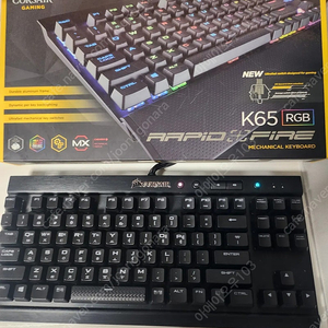 커세어 k65 rgb rapidfire 은축