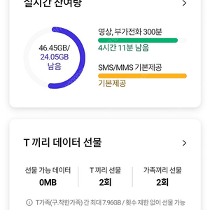 SKT데이터2기가 일괄