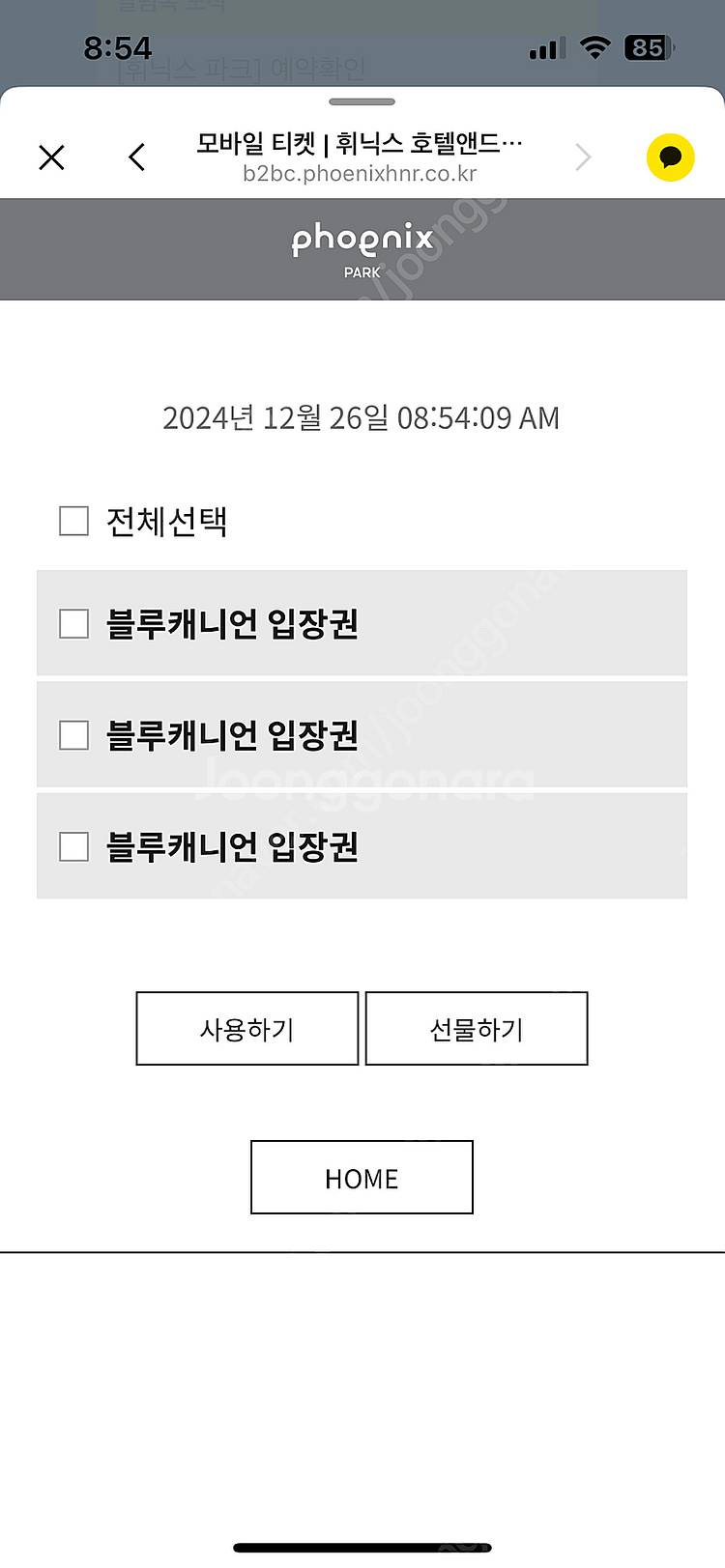 평창 휘닉스파크 블루캐니언 종일이용권--0
