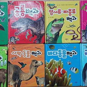 애플비 동물백괴 8종