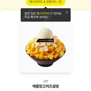 설빙 애플망고치즈설빙 13,900->11,000원