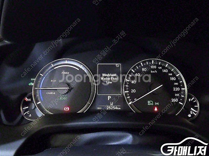 [렉서스]RX 450h(4세대) 이그제큐티브 (0톤) ...--9