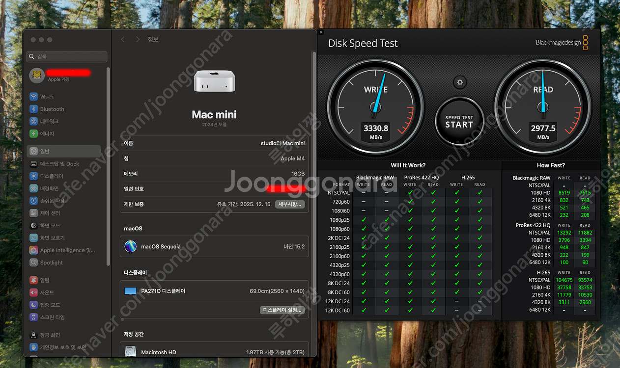 맥미니 M4 16GB 램 / 2TB SSD 자가교체 모...--1