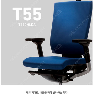 [명품체어]SIDIZ 시디즈 기능성체어 T55