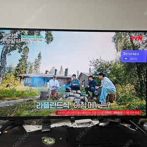 LG 43인치 TV 팝니다