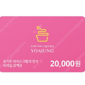 요거트아이스크림의 정석 모바일금액권2만원권 18000원