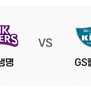 12/28 흥국 vs gs전 c2구역 4열