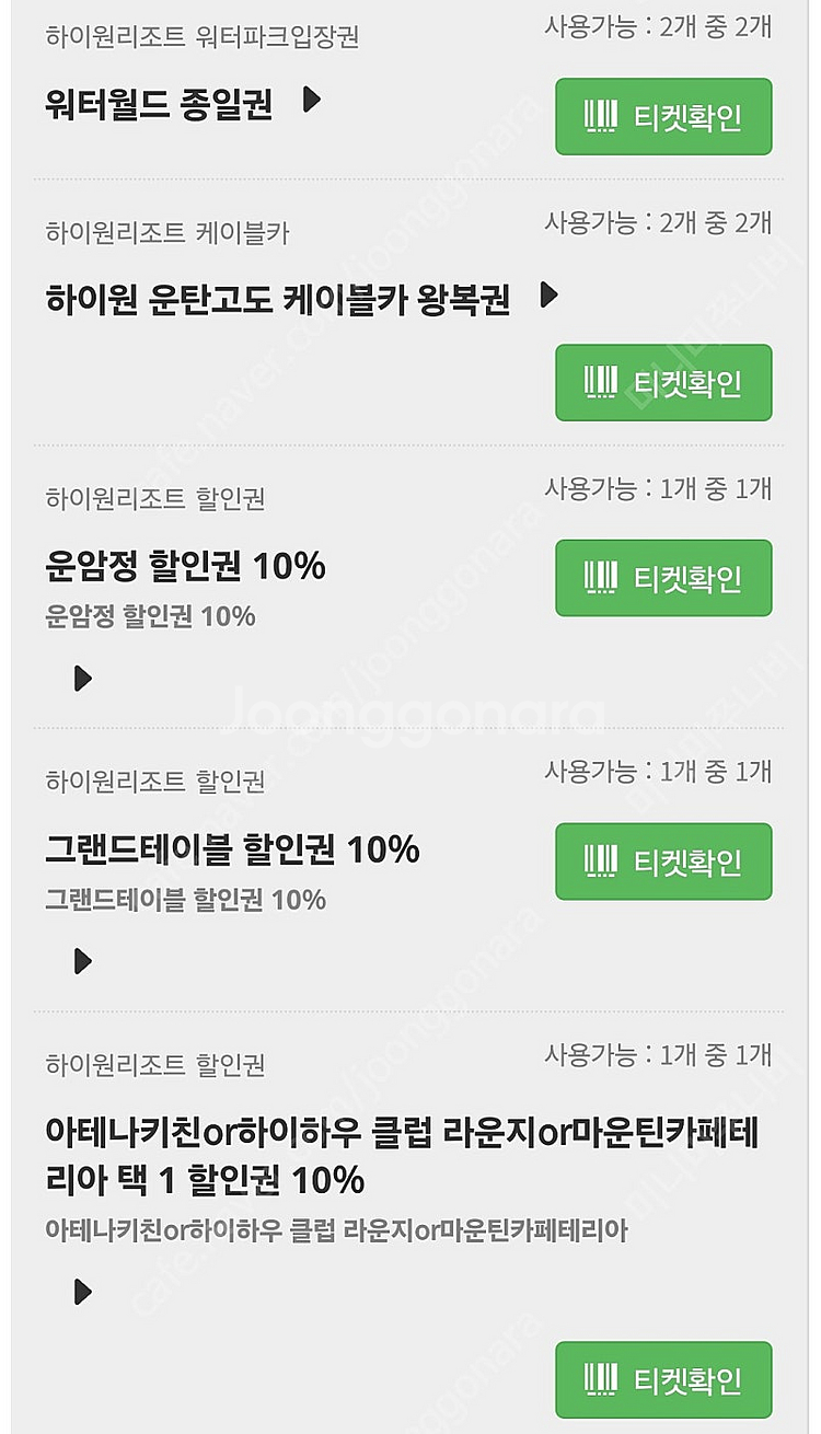 하이원 워터월드 대인 2인권--0