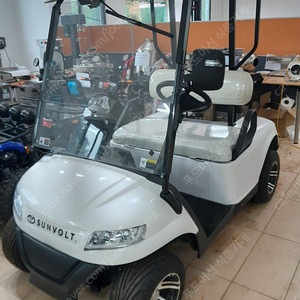 2인승 골프카트