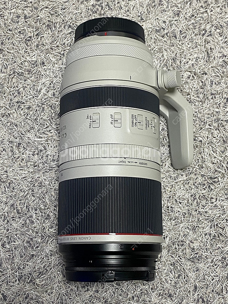 캐논 r6 mark 2 / rf 100-500mm / ...--1