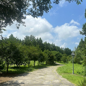 카니발 3열 보조의자 구입합니다 울산 포항 부산