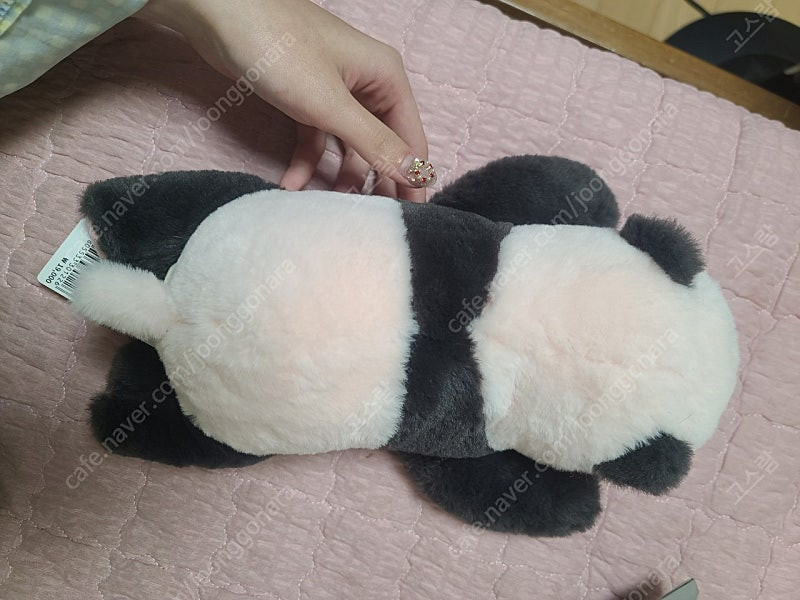 에버랜드 푸바오 50일 인형--2